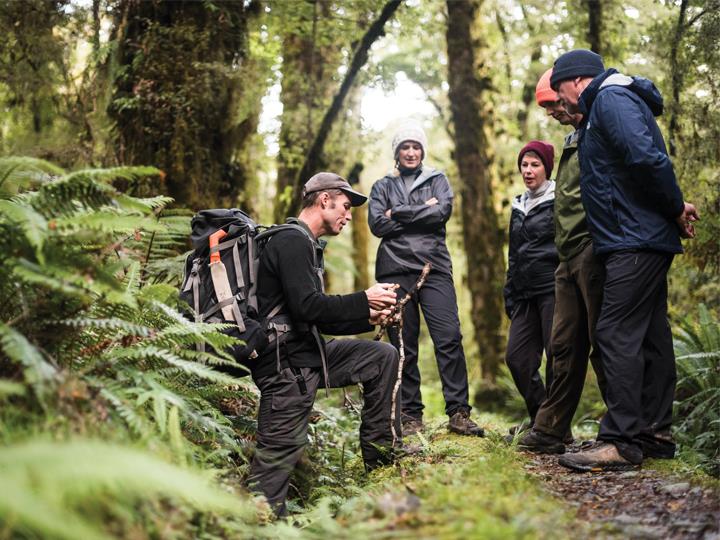 Hollyford Wilderness Experiences